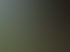 {{GALLERY_IMAGE_3}}