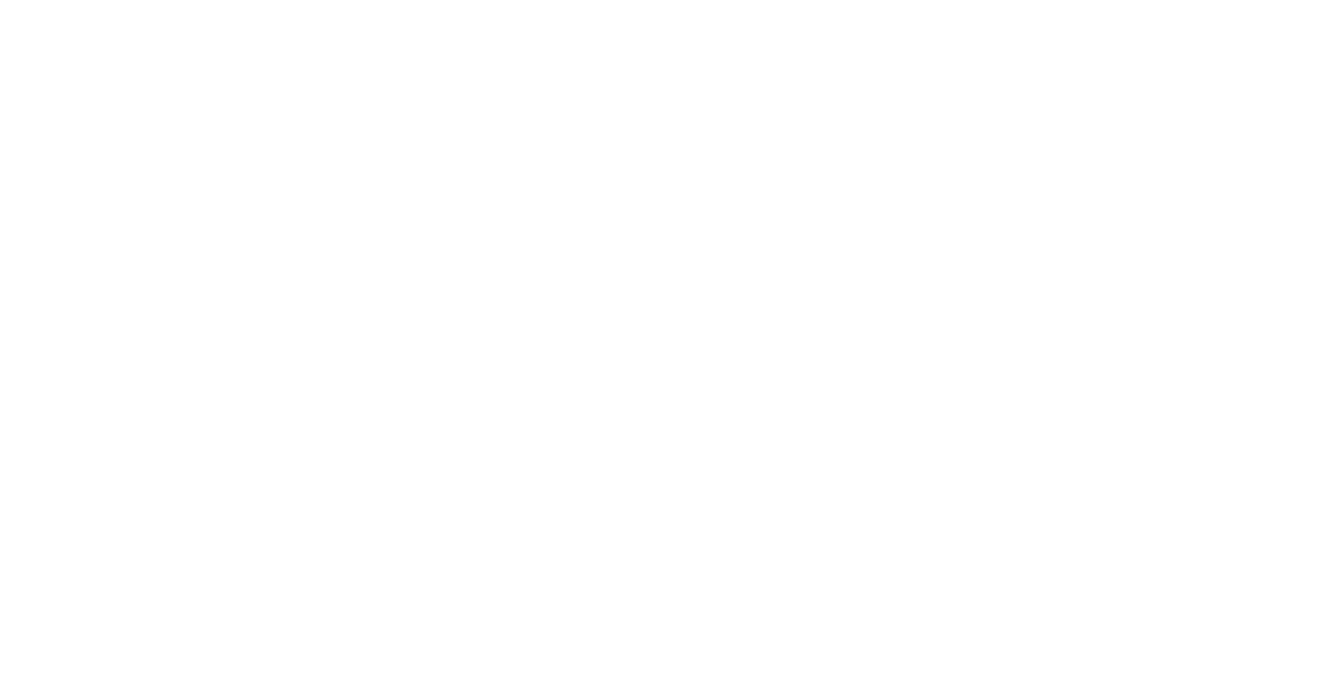 Das NETZ