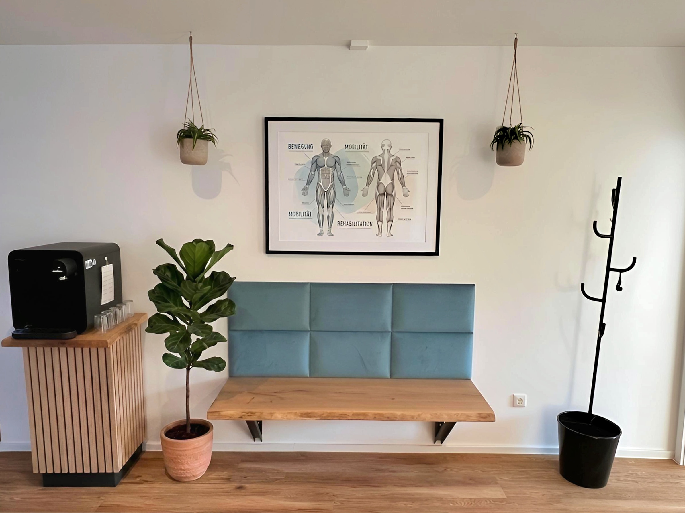 Wartebereich mit Holzbank, Pflanzen und Anatomie-Poster