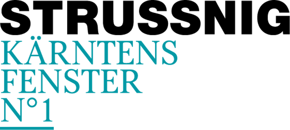 Logo Strussnig Fenster