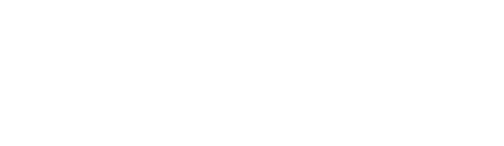 Logo Kampagne Rennleitung Law2Ride