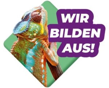Buntes Chamäleon auf Ast mit lila Sprechblase: „WIR BILDEN AUS!“