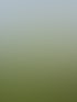Dreistöckiges grünes Wohngebäude mit neun Fenstern, zwei davon geöffnet, unter bewölktem Himmel.