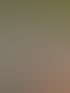 Luftaufnahme eines weissen Wohnhauses mit dunklem Dach, vollstaendig eingeruestet, rotes MEB-Geruest-Banner und rotes Schutznetz.