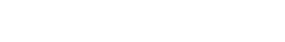 Logo von Schanzer Marketing mit einem stilisierten Blattmotiv und dem Firmennamen in Schwarz auf grünem Hintergrund.