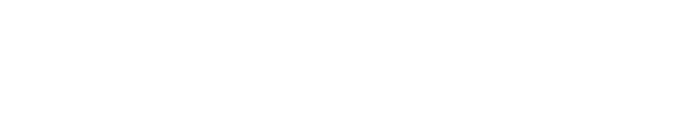 Alexander Nold Prodctions Logo