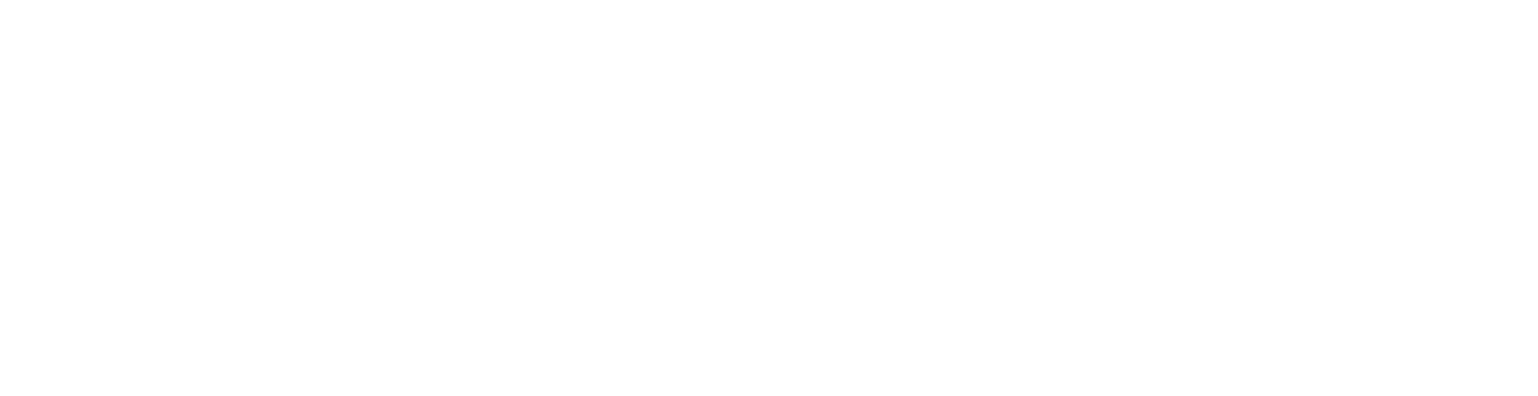 teaching socials logo