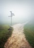 Ein Wegweiser steht an einer Weggabelung auf einem Feld im Nebel.