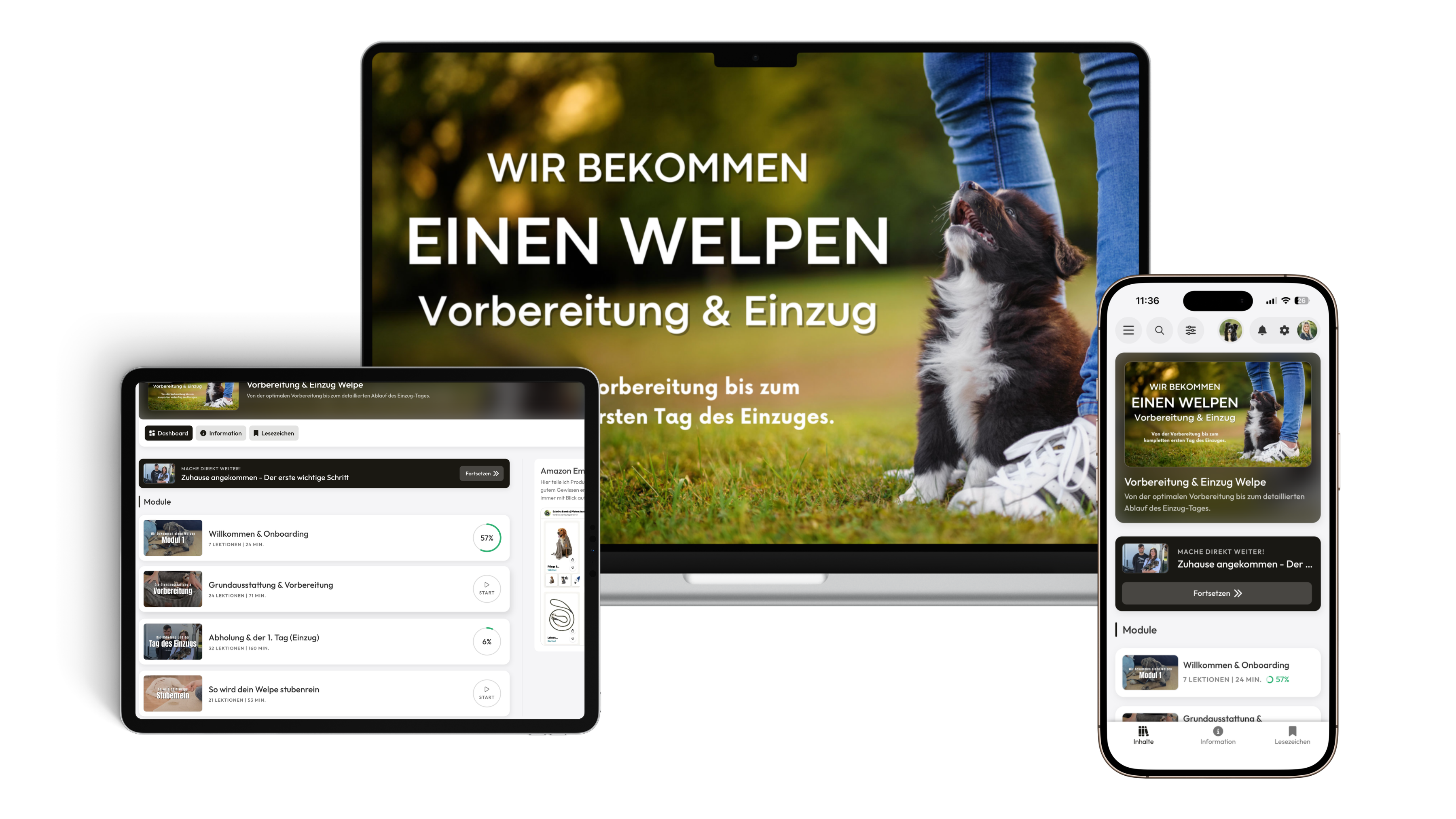 Der Onlinekurs WelpenStart auf Laptop, Tablet und Smartphone