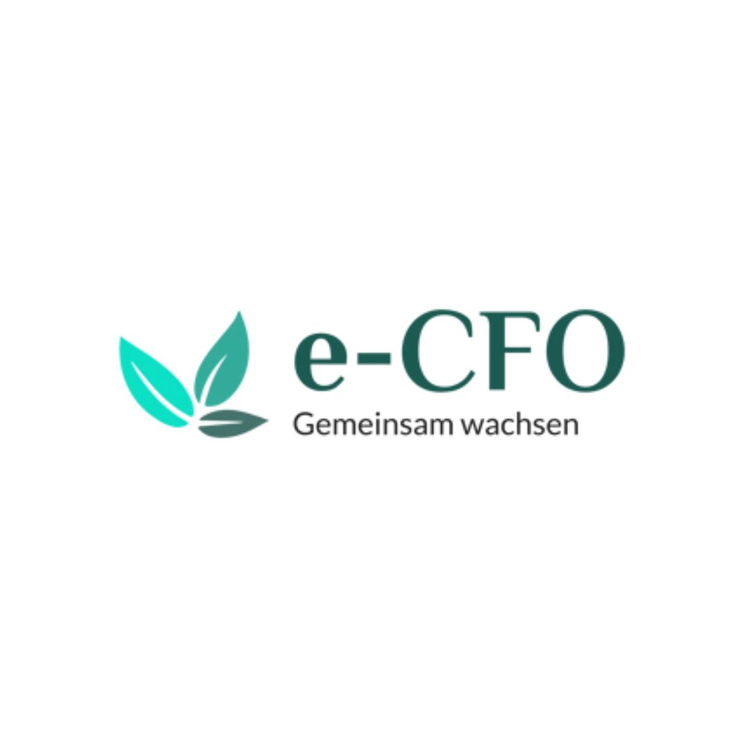 e-CFO