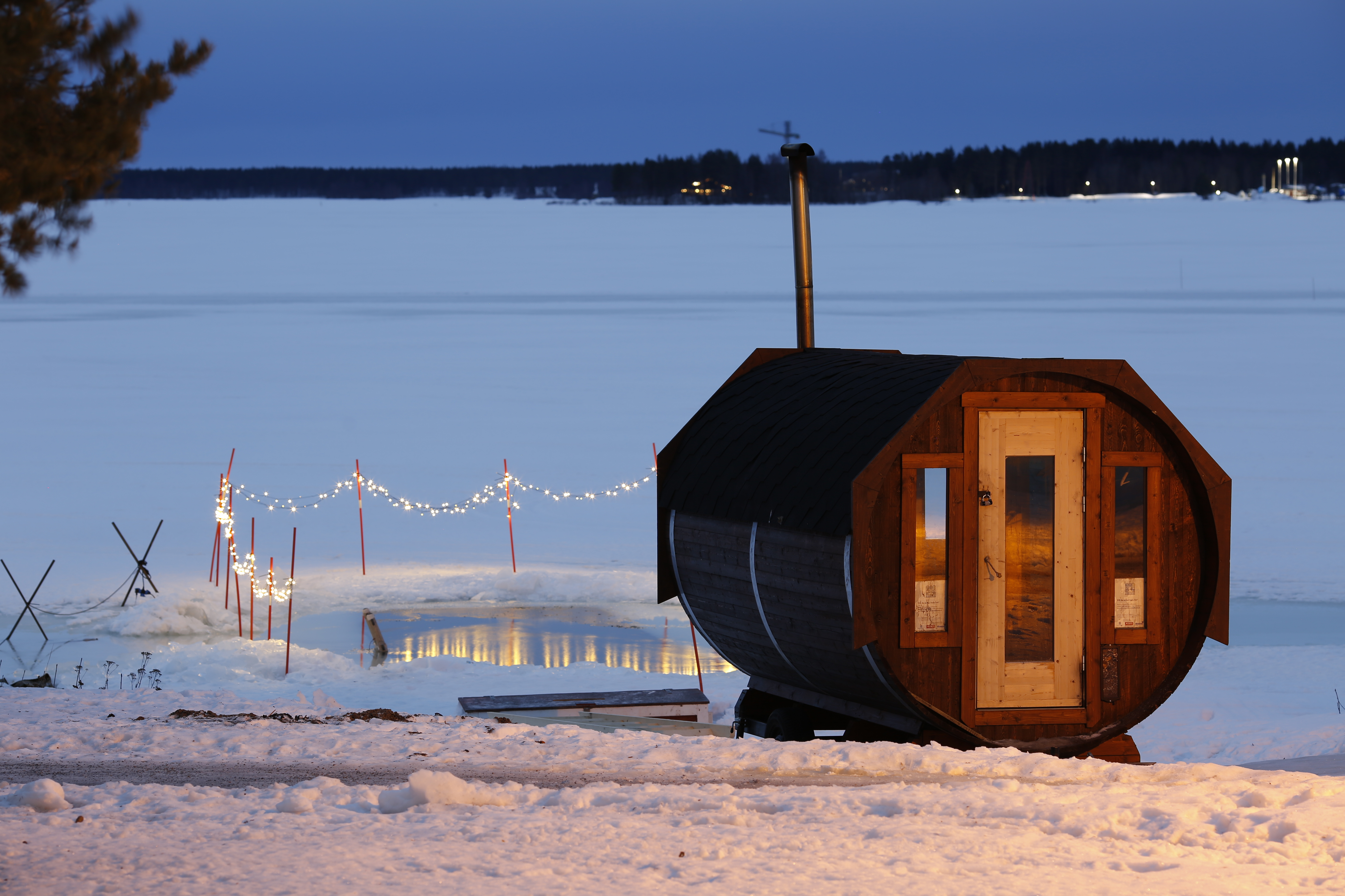 Silvester in Lappland – Hundeschlitten