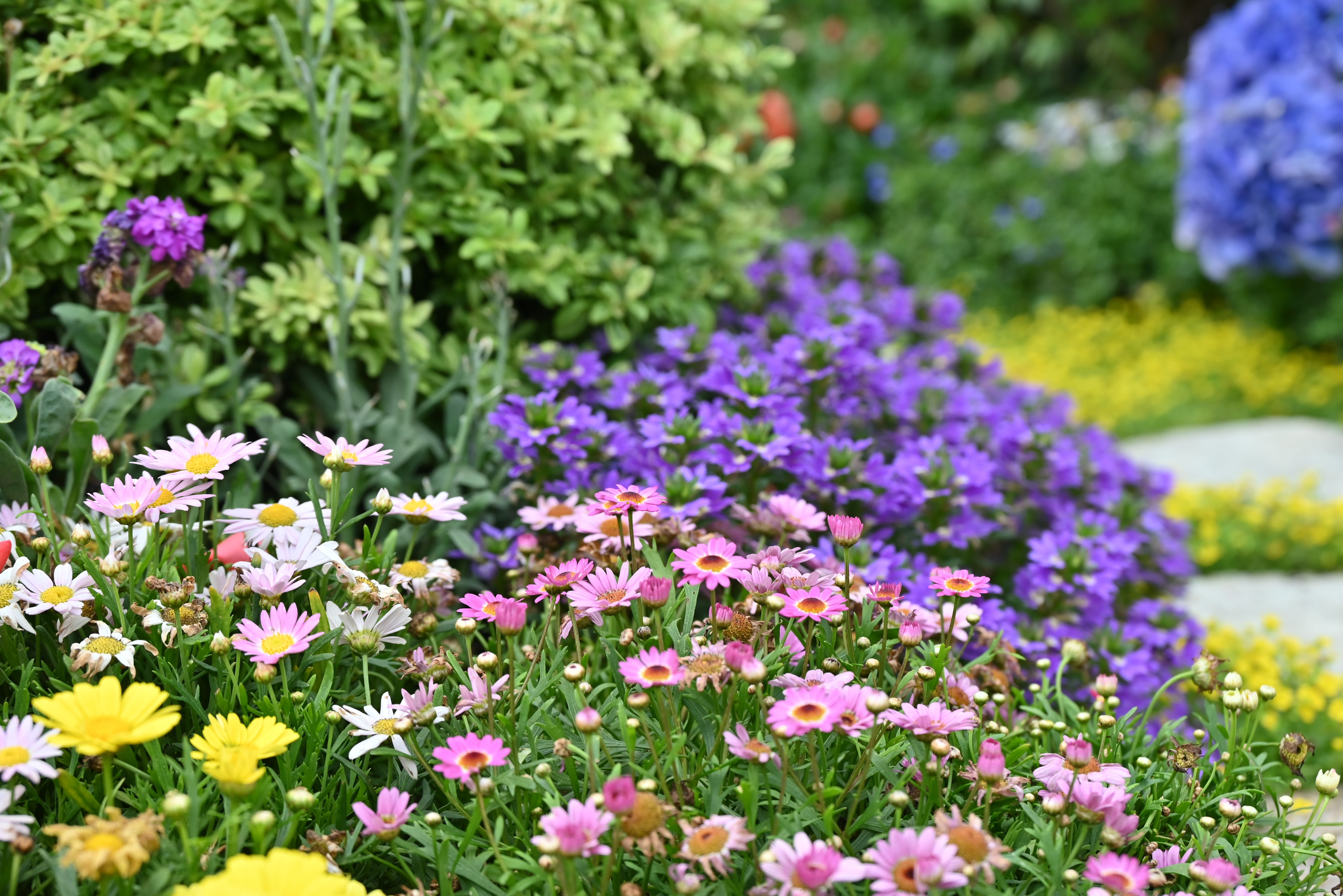 Gartenanlage nach dem Vorbild der Werke Claude Monets