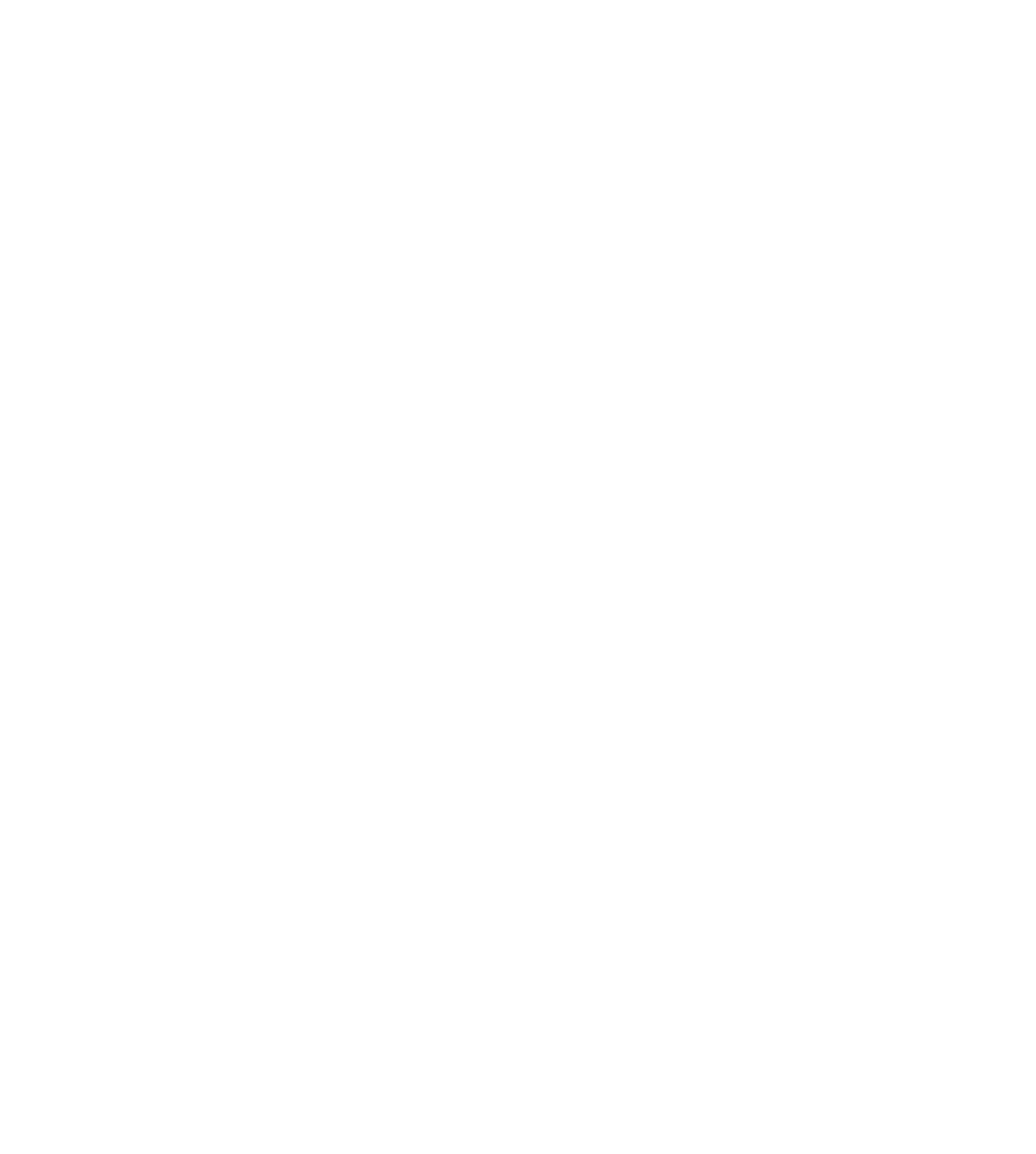 wilderness international logo