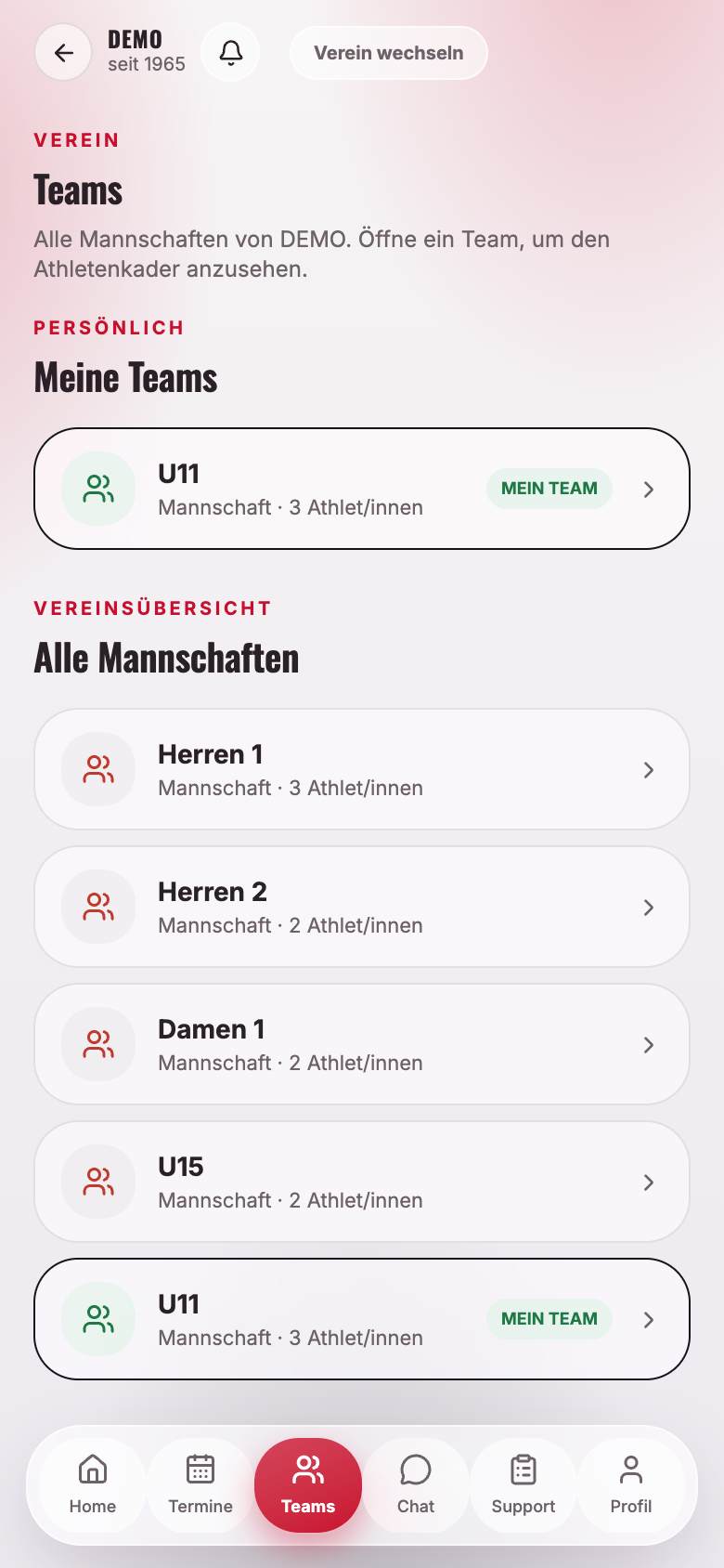 Teams und Kader in der App