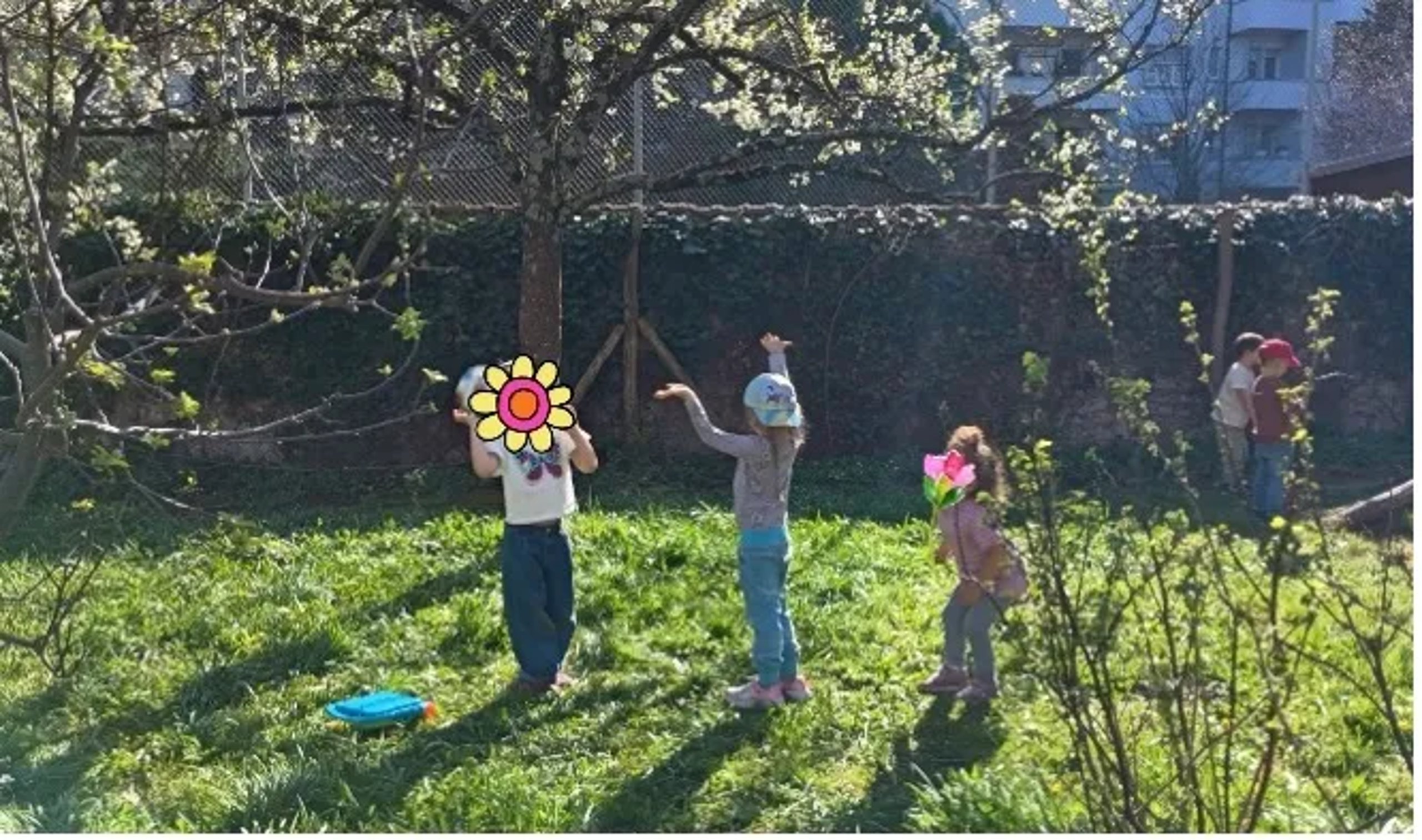 Der blühende Hintergarten der Kita Wunderkiste