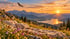 Picknickdecke auf einer Blumenwiese vor Alpenpanorama mit See bei Sonnenuntergang und fliegendem Adler.