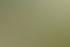 Webseiten-Tipps für Gartenbauer: So präsentieren Sie Ihre Projekte optimal