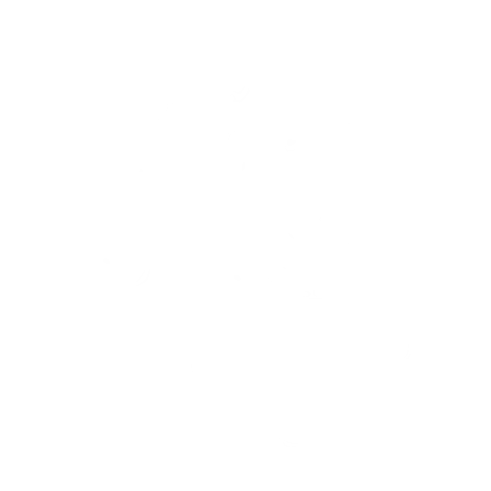 Logo Katharina Schirnhofer  Webdesign & Branding