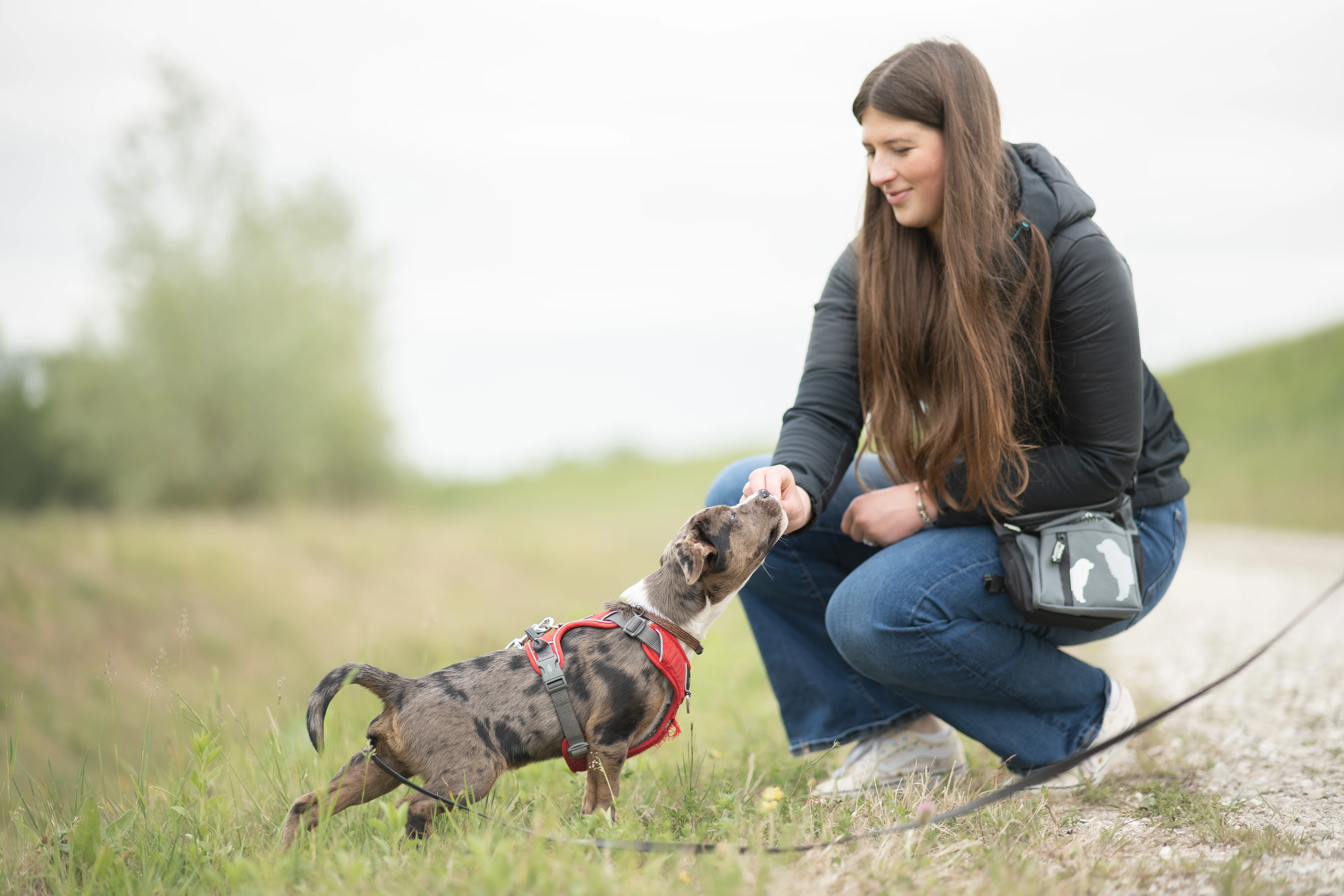 Christina trainiert mit Welpe Bruce an der Schleppleine draußen