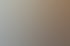 Sechs Personen sitzen in einem hellen Büro an einem Holztisch bei einer Besprechung mit Blumenstrauß und Unterlagen.