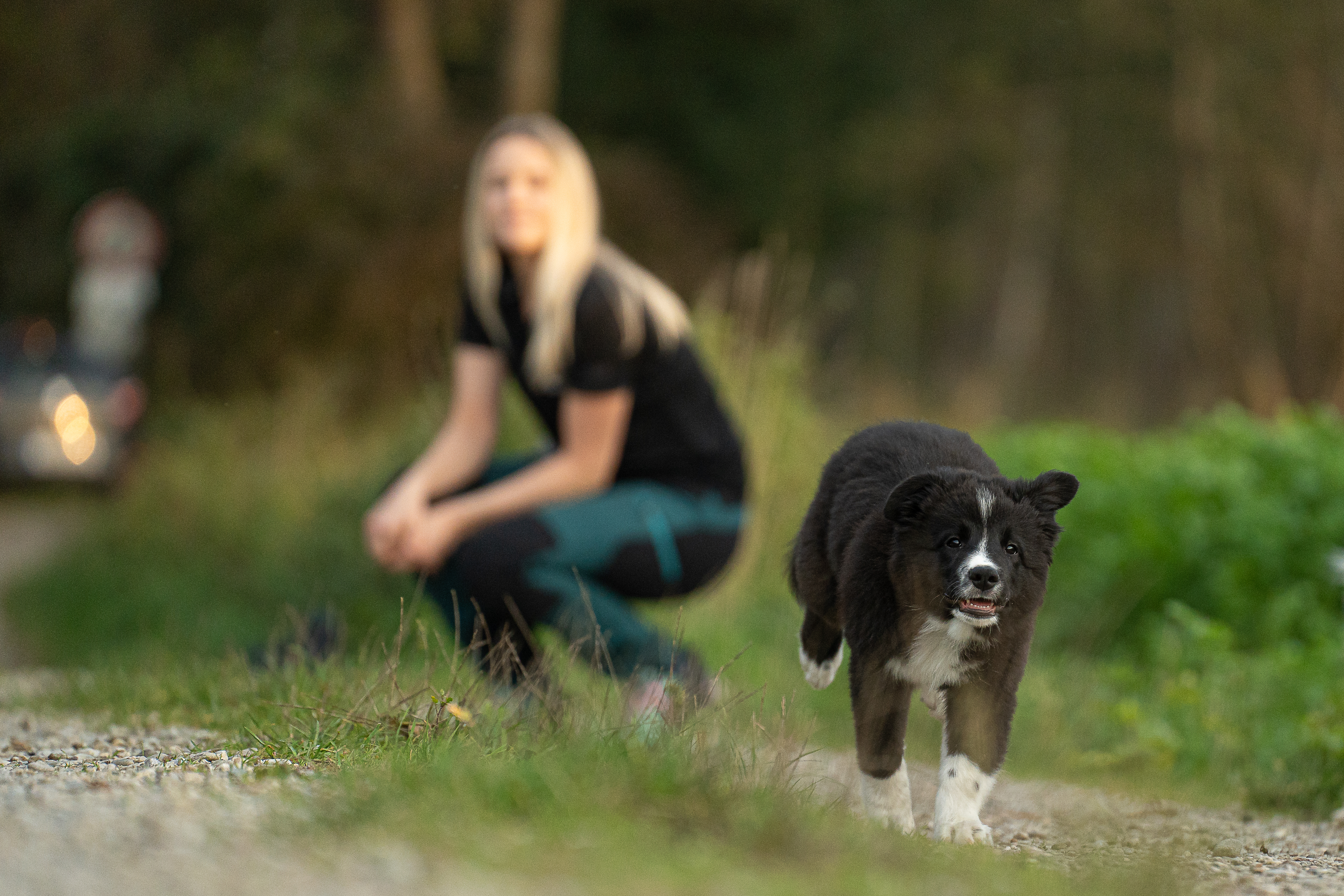 Hund kommt nicht zurück