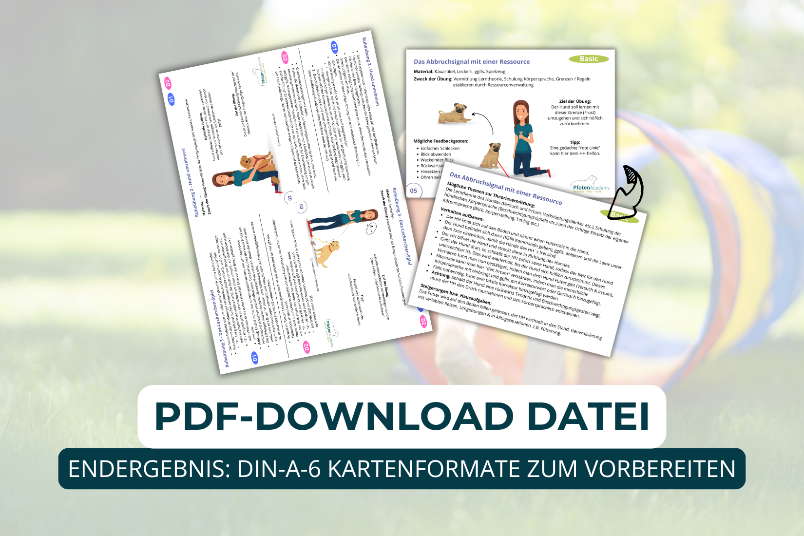 Basisübungen für Welpen und Anfänger – Bild 3