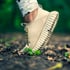 Der Fuß einer Person in einem beigen Turnschuh tritt auf einen Waldboden mit Blättern und kleinen grünen Pflanzen.