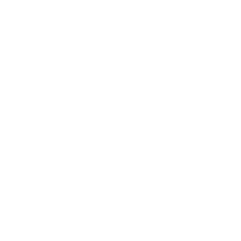 Weißes stilisiertes "HS"-Logo in einem Kreis über dem Wort "SCHNEIDER" auf grünem Hintergrund.