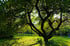 gdl6790a.jpg.webp