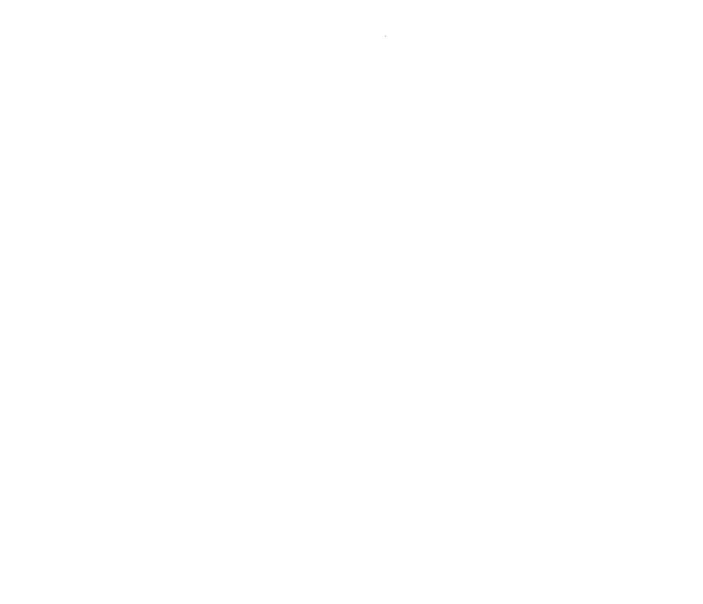 LOGO NEIDL GMBH