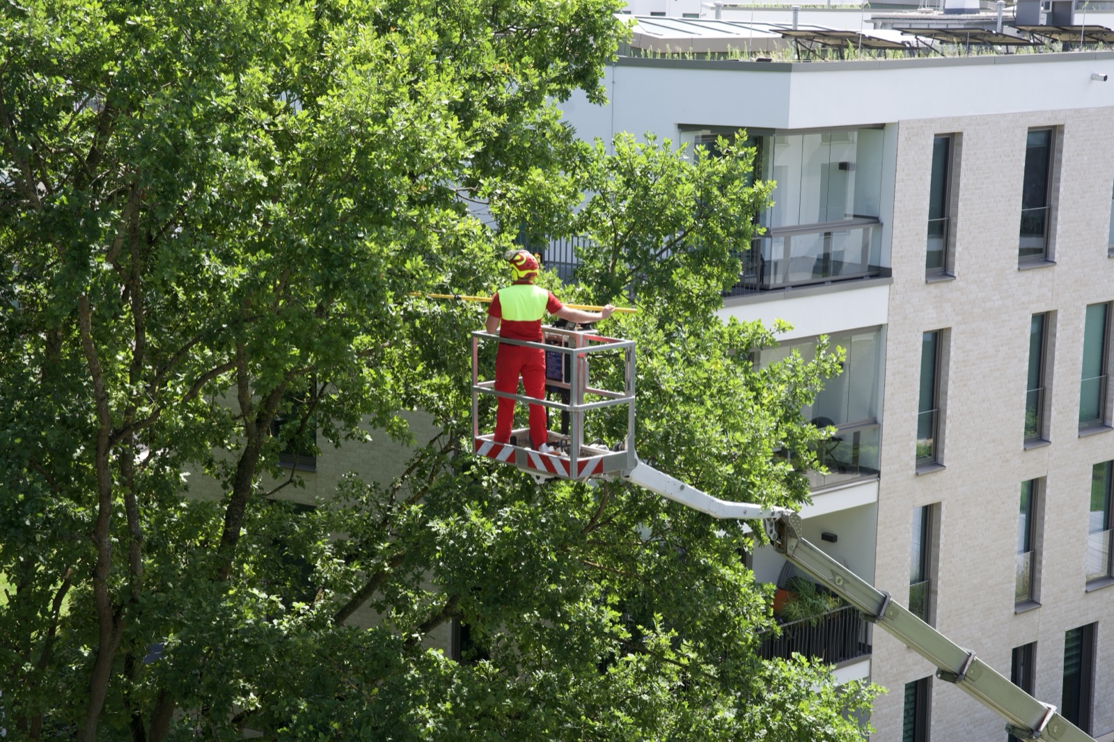 Kontrollierter Schnitt mit der Motorsäge