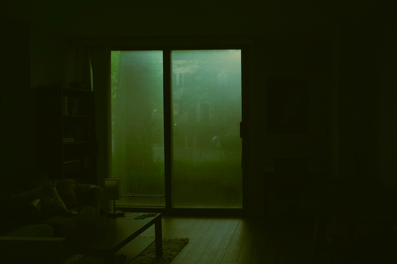 Frosted glass door with green trees beyond