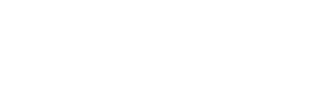 Wiens Lasergravuren Diepenau Logo