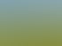 Schaukelgerüst mit Teller- und Einzelschaukel auf grünem Gras unter klarem blauem Himmel, umgeben von Büschen.