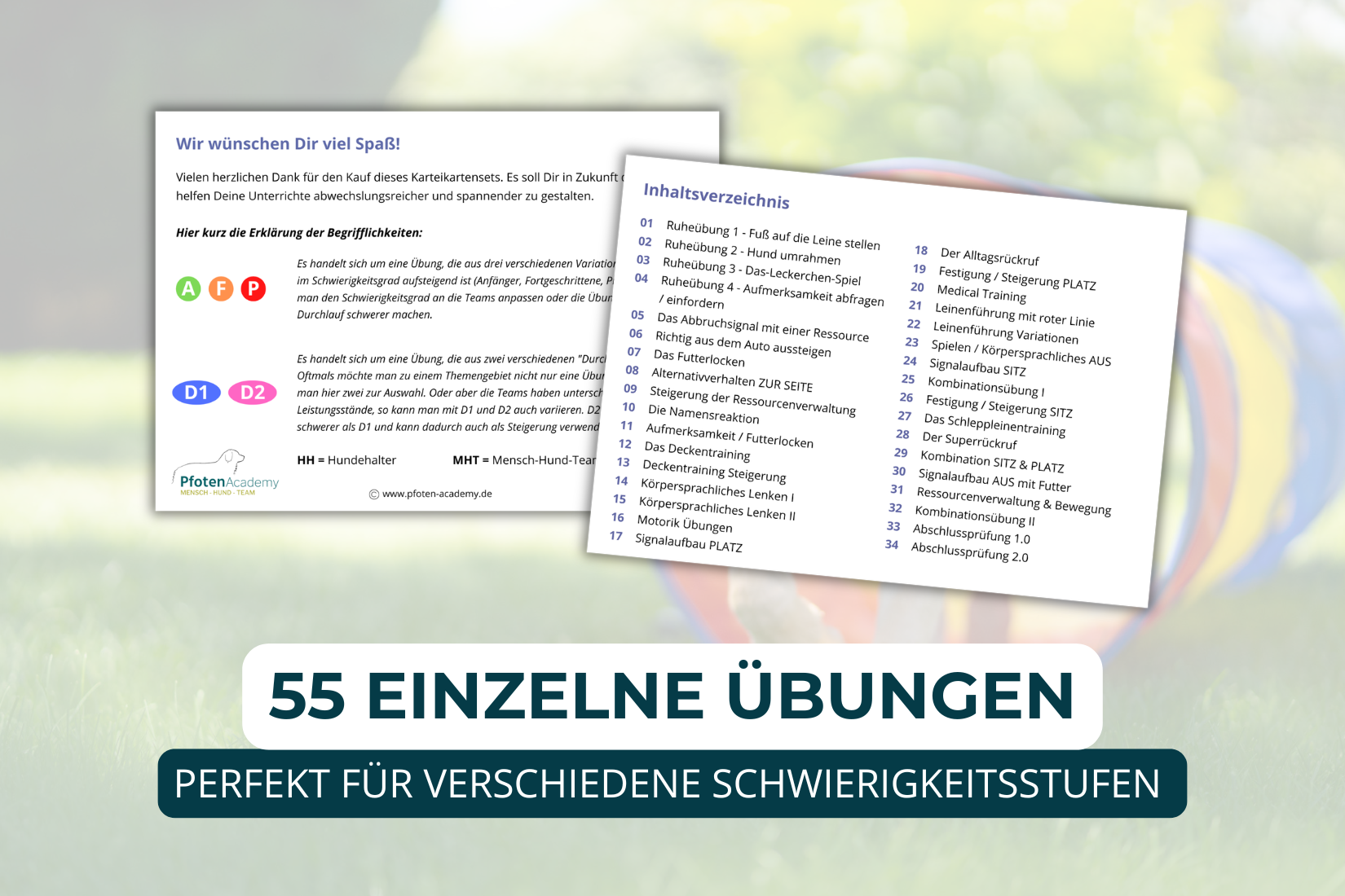 Basisübungen für Welpen und Anfänger – Bild 4