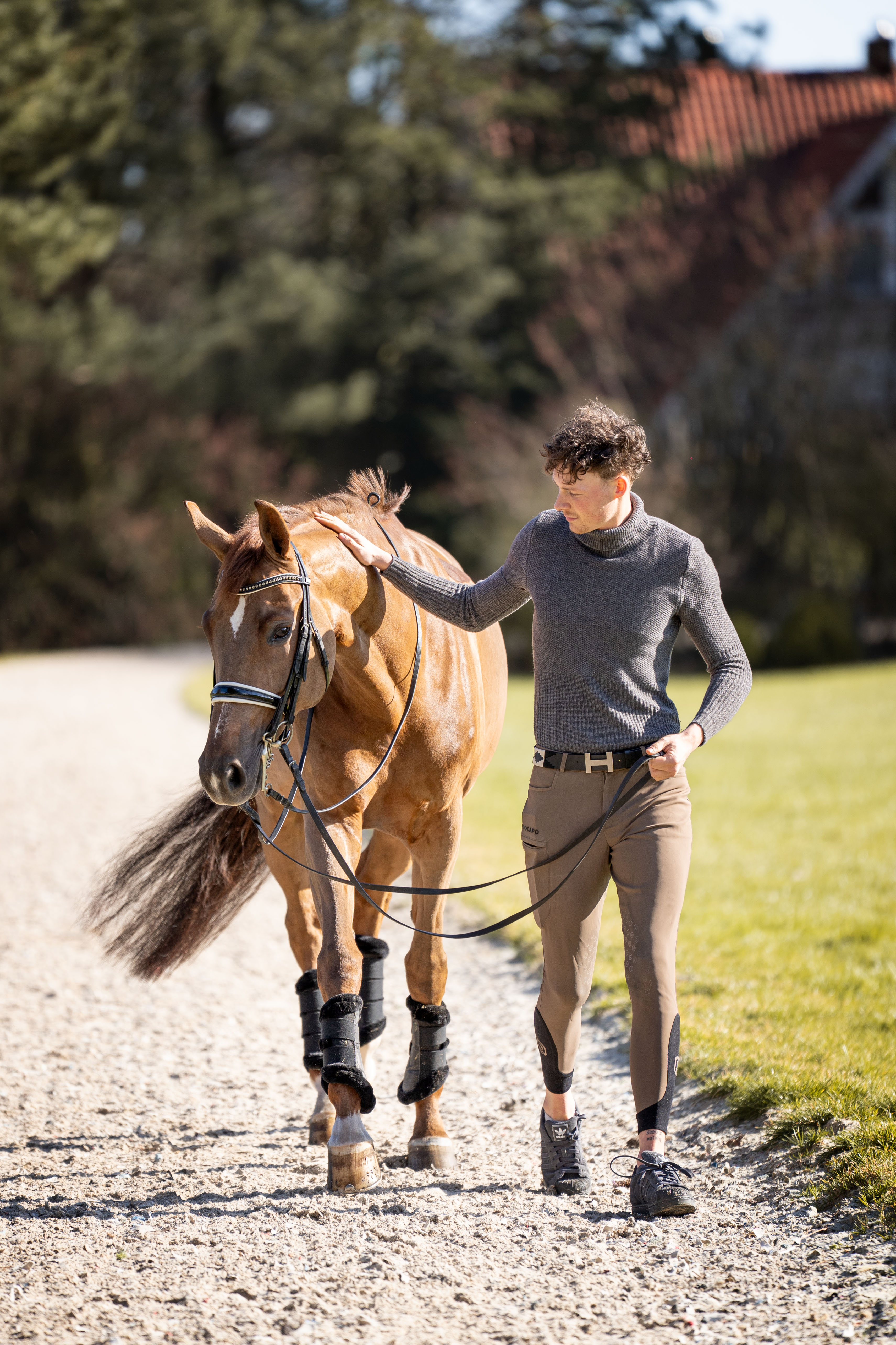 Pferdefotografie von Katharina Middendorp