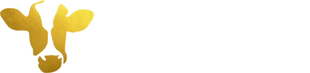 Unternehmenscoaching Denise Völker