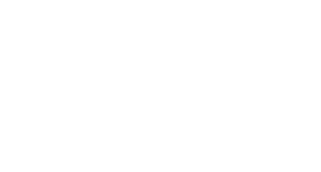 DSF Consulting
