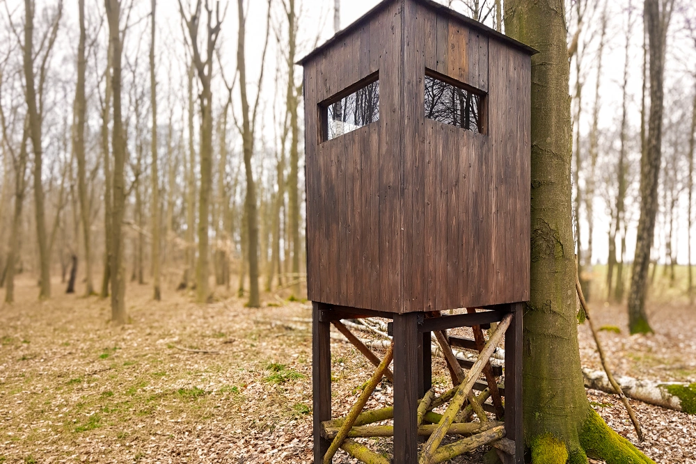 Jagdkanzel im Wolfshagener Park