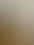 Glasschiebetür im Industriedesign mit schwarzen Rahmen und Griff, die eine helle Diele zeigt.