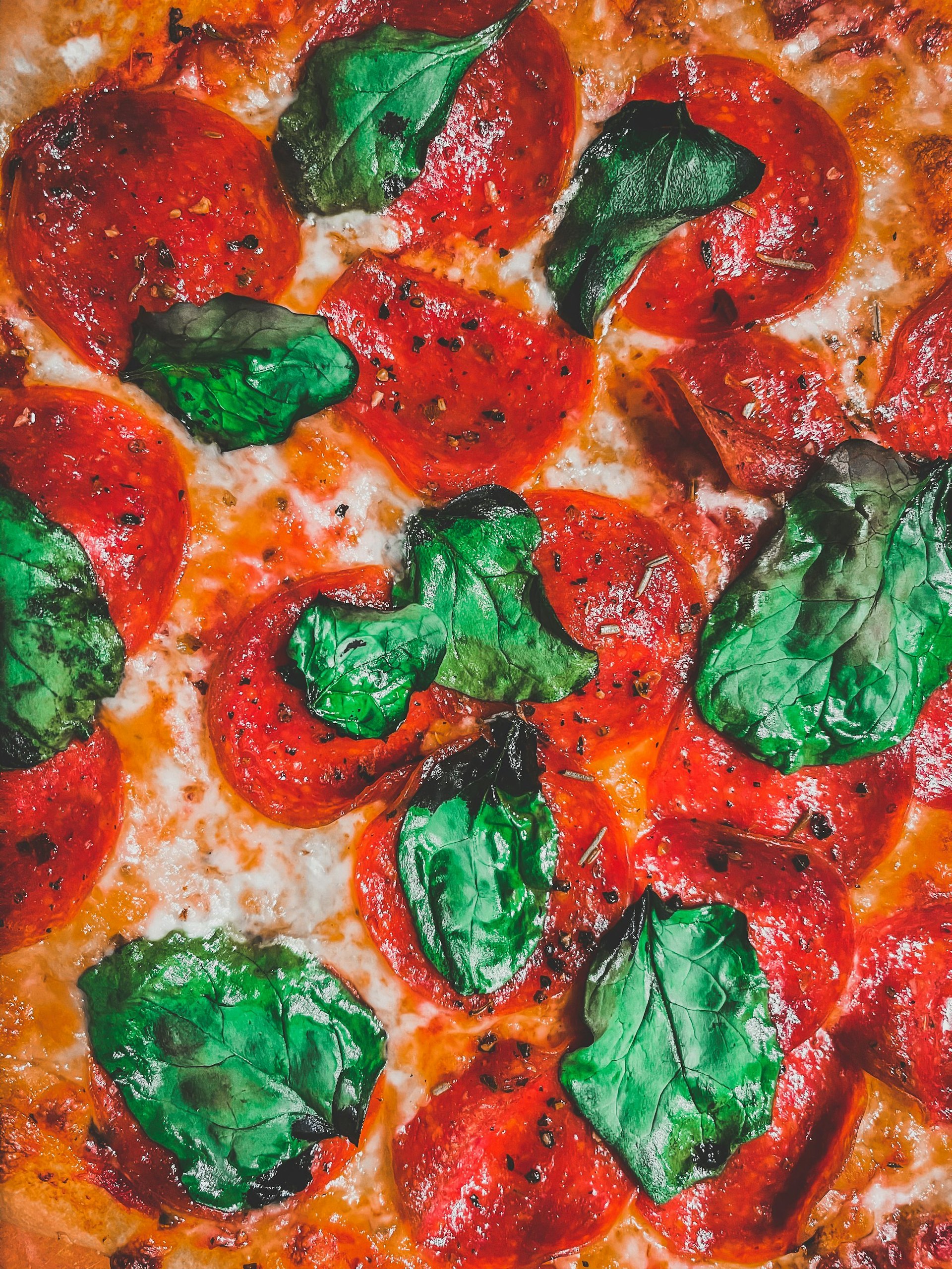 Nahaufnahme einer frisch gebackenen Pizza mit Tomaten und Basilikum