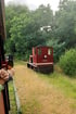 Dunkelrote Lokomotive mit "SKURRE"-Schriftzug auf schmaler Bahntrasse, umgeben von Bäumen und hohem Gras.