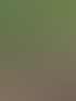 Zwei Männer stehen im Wald neben einer Videokamera auf einem Stativ, der linke Mann schaut auf die Kamera.