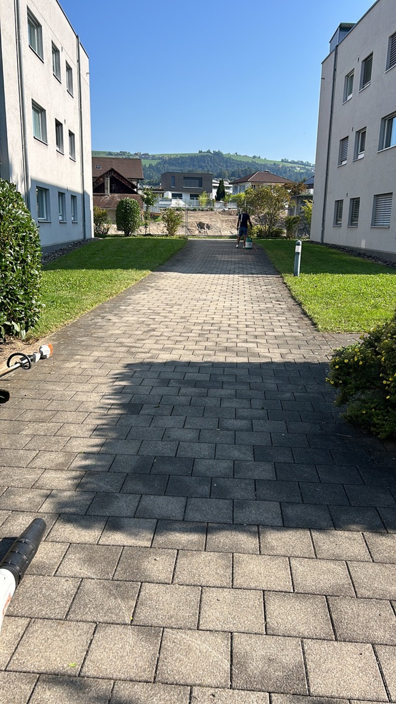 Gepflegter Zugangsweg und Rasenflächen zwischen Wohngebäuden