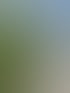 Heckenschnitt in Zürich und Umgebung | Botanica Greiner