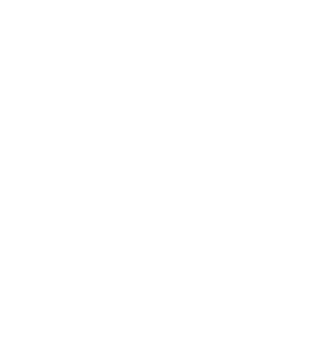 NIRO und KÖGL Logos mit Schriftzug "OFFIZIELLER VIP-PARTNER" und 4 Sternen in Rot auf Grün.