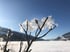 Winter in der Region Piesendorf Niedernsill