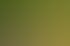 Grüne Pflanzen sprießen aus Mulch auf dem Waldboden, mit Sonnenlicht, das durch Blätter fällt.