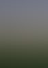 Sonnenuntergang über einem Maisfeld mit dramatischen Wolken am Himmel.