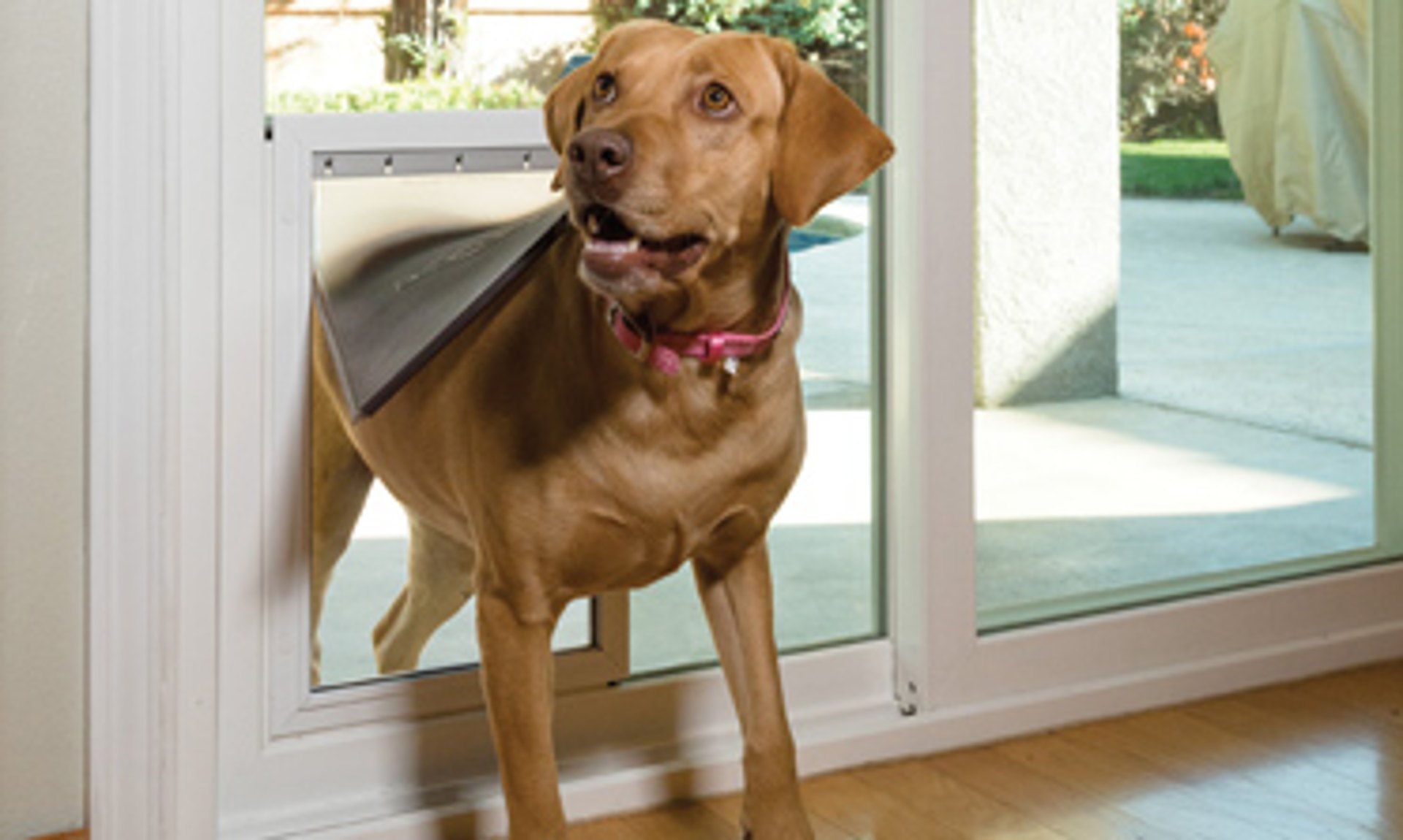 Pet Door
